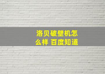 洛贝破壁机怎么样 百度知道